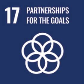 Sustainable Development Goal 17