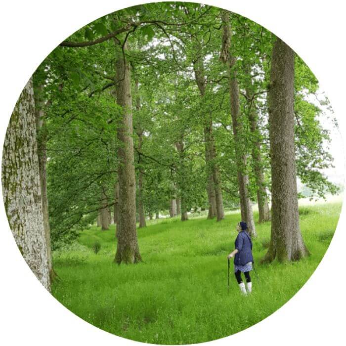 Figure in woodland